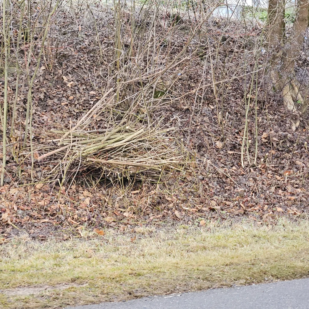 Asthaufen im Garten, der als wertvoller Lebensraum und Schutzort für Tiere im Winter dient.