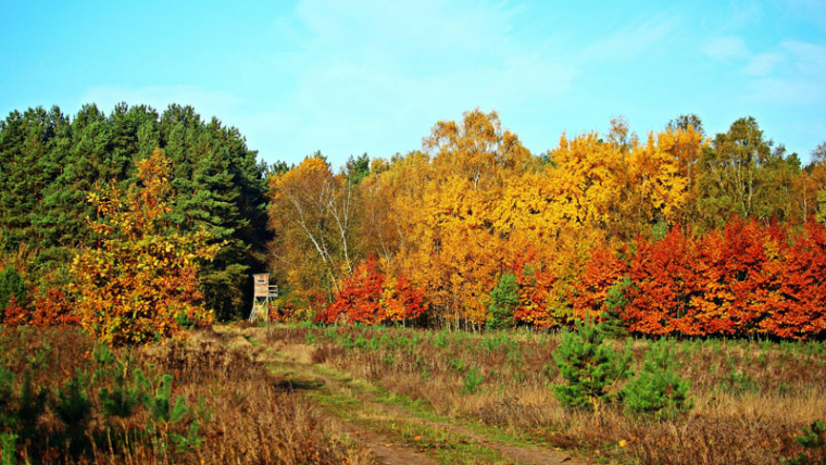 Gartenherbst