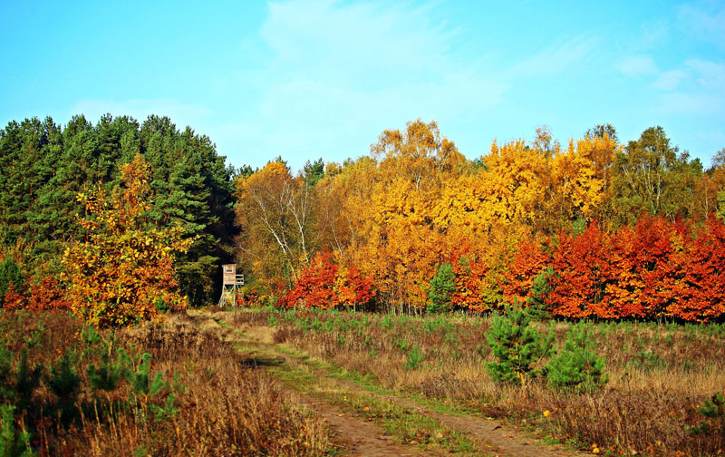 Gartenherbst