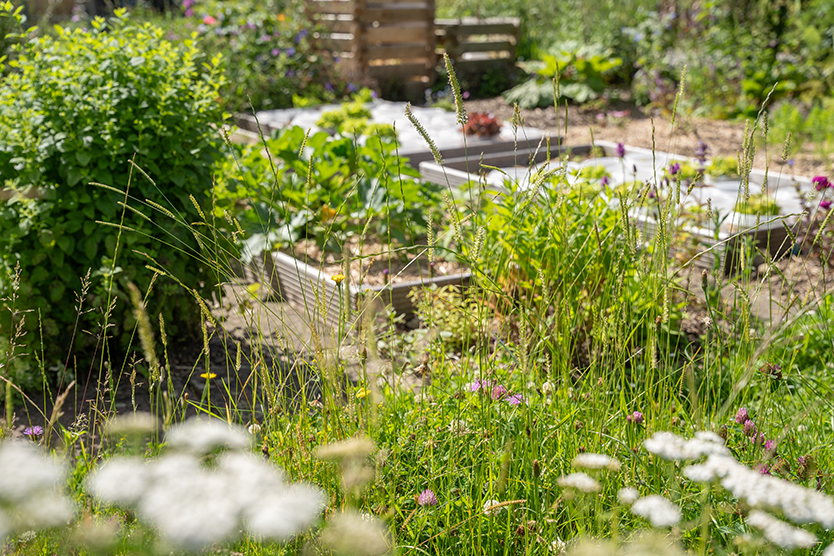 Naturnaher Schrebergarten