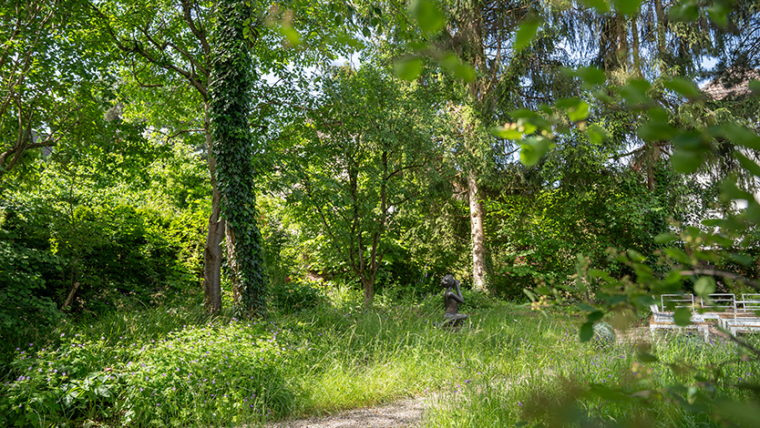 Idyllische Waldlichtung