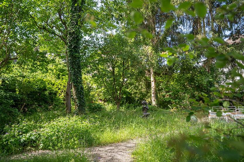 Idyllische Waldlichtung