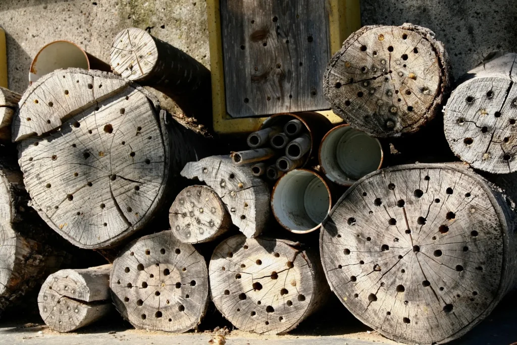 Schlechtes Beispiel Holzscheiben mit Bohrlöchern und Trocknungsrissen als Nisthilfe für Wildbienen
