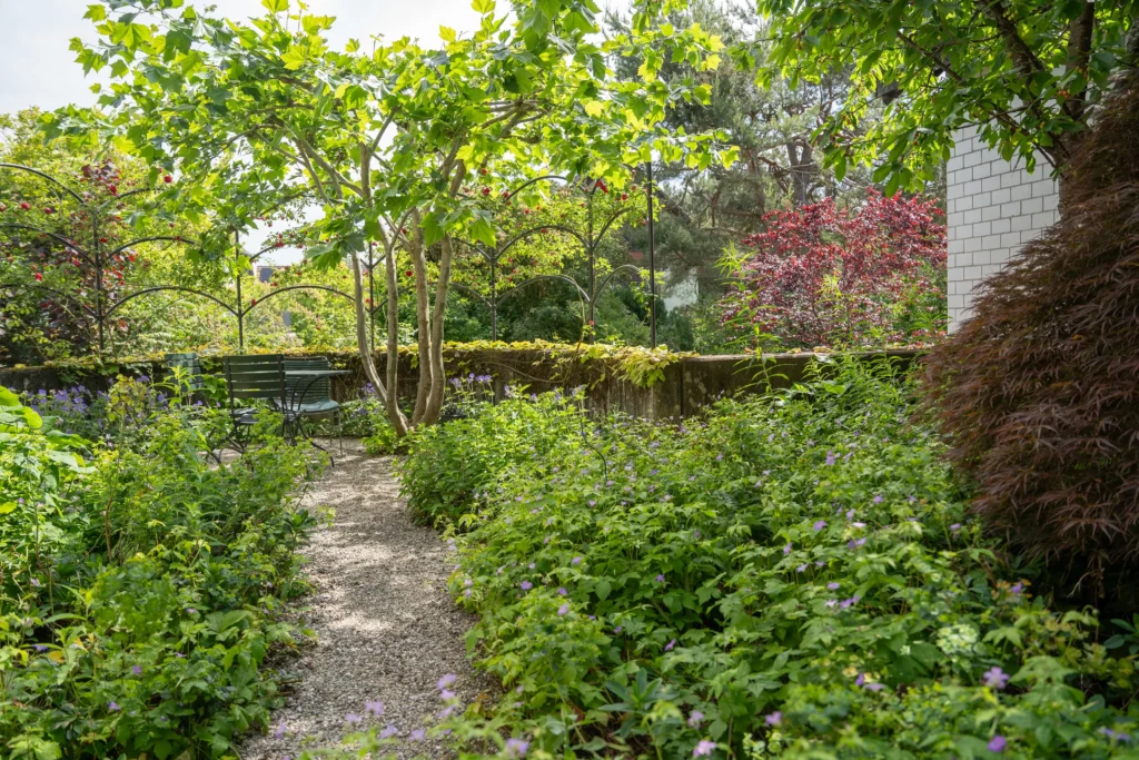 Naturnaher Garten mit heimischen Pflanzen und biodiverser Gestaltung