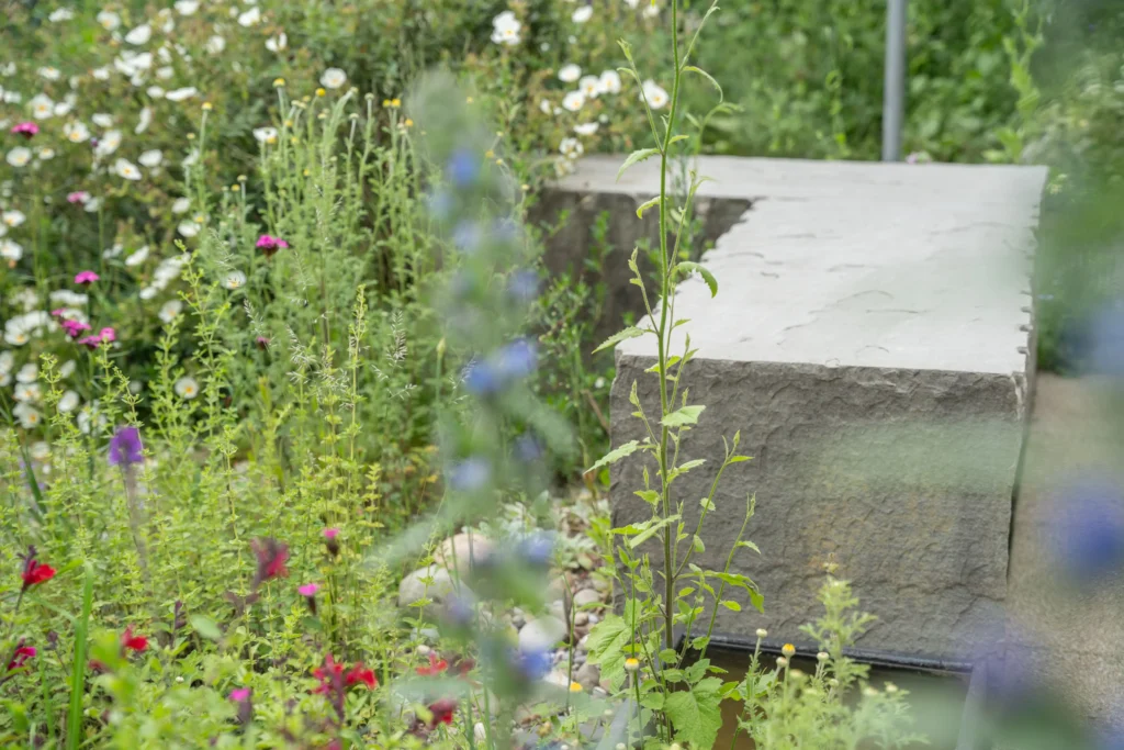 Naturnaher Garten mit heimischen Wildpflanzen und biodiverser Gestaltung