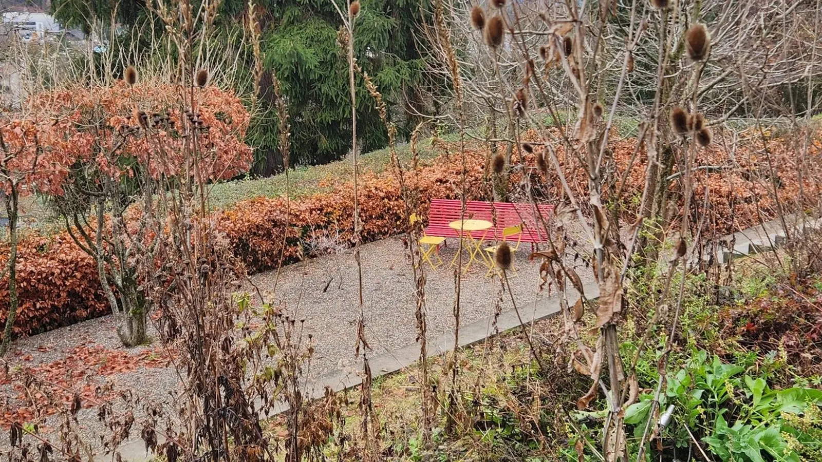 Stehen gelassene Stauden und Samenstände im herbstlichen Garten